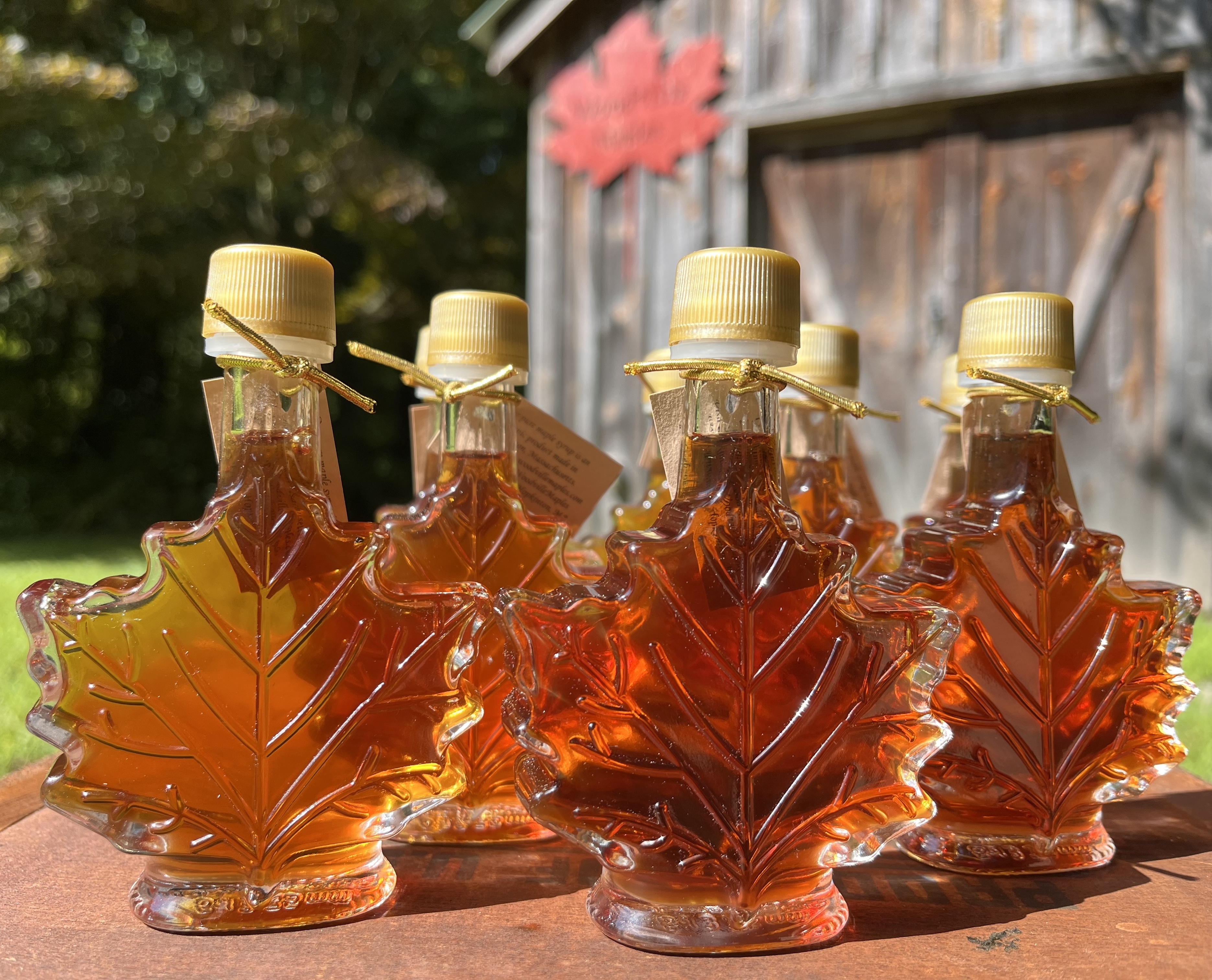 Maple Nips